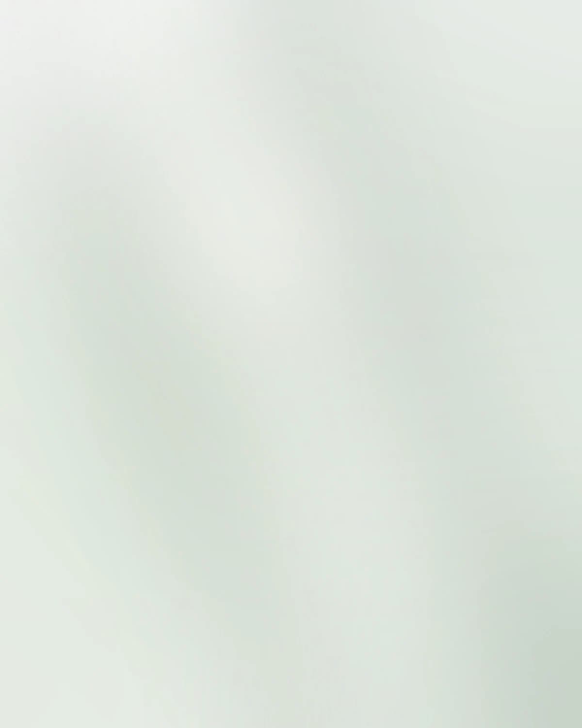 Nomad's Man — detail 2