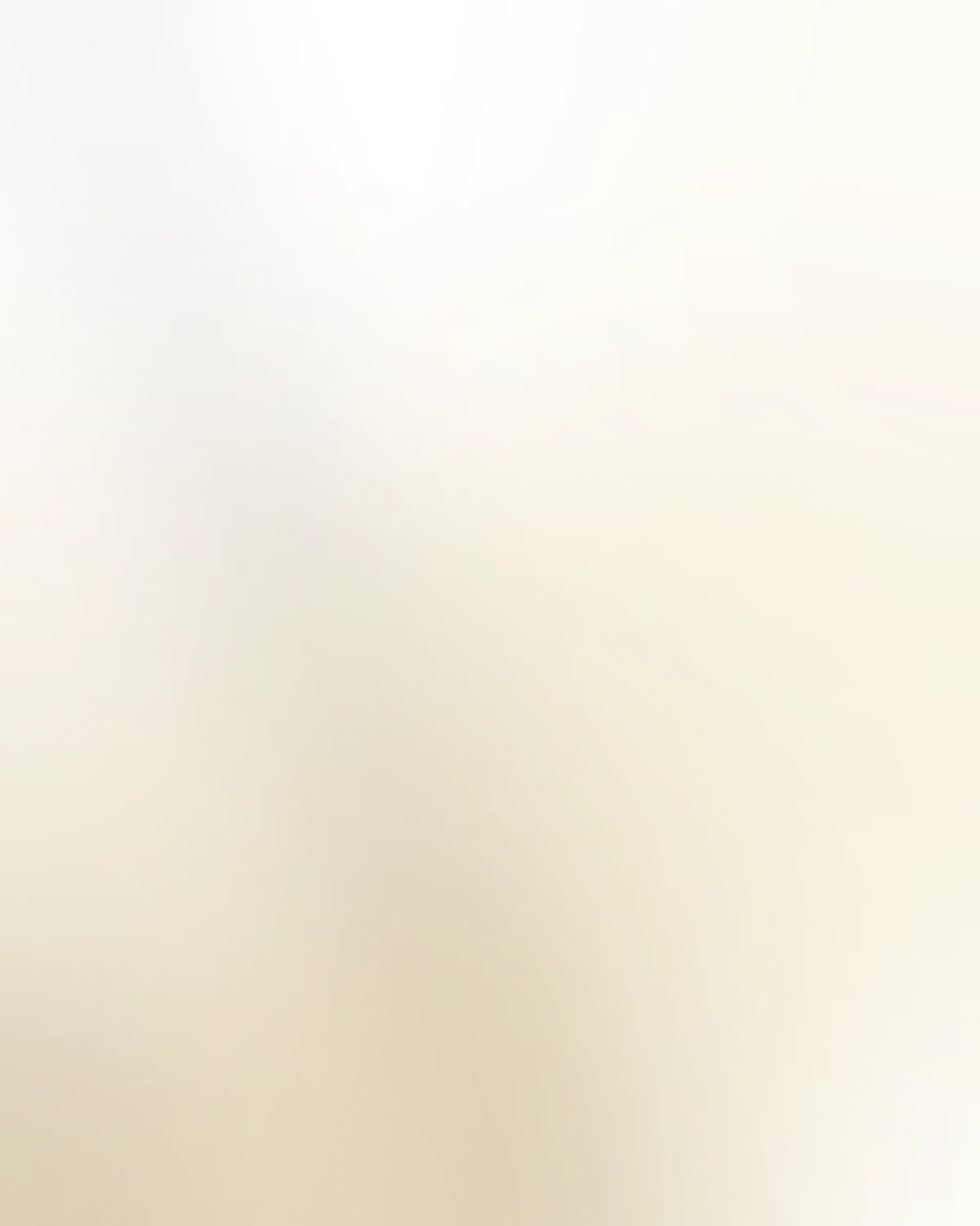 Welcome Workstation — detail 2